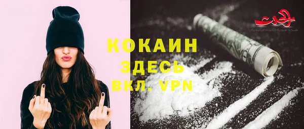 хмурый Липки