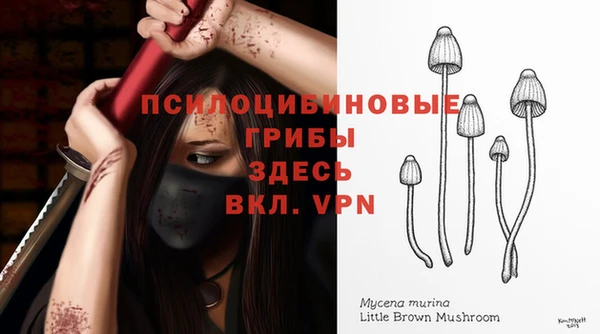 хмурый Липки
