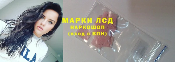 хмурый Липки