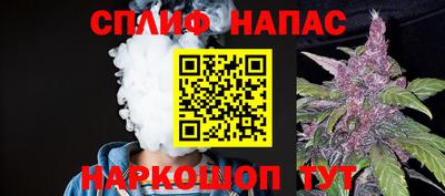спиды Дубна