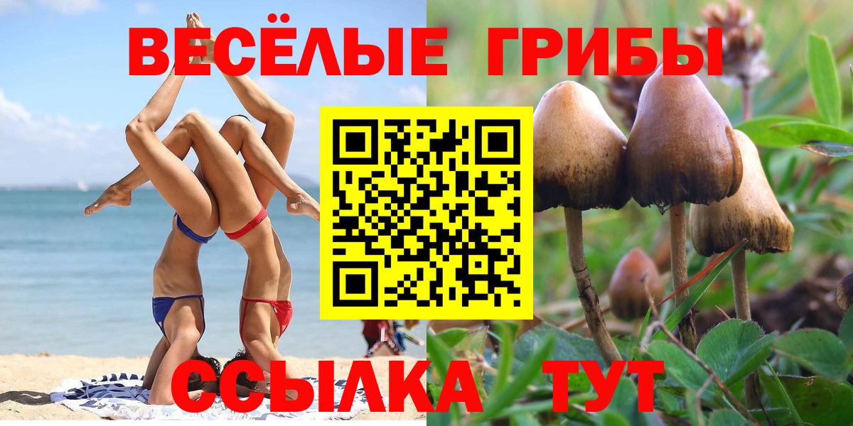 Псилоцибиновые грибы GOLDEN TEACHER  Реутов 